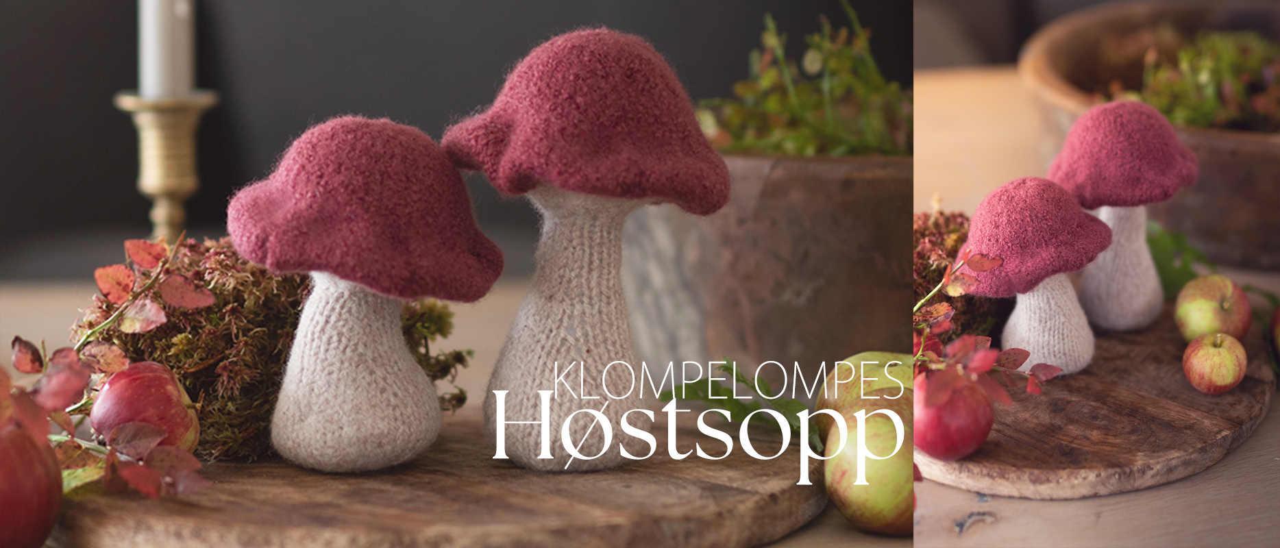 soppheader